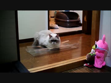 なんでこんなに好きなの？