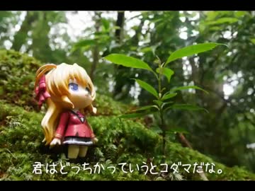 ニート、旅をする【44日目】