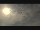 2014.9.10 （新潟）片貝花火　真昼の正三尺玉
