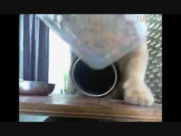 とらじ　補給　落下