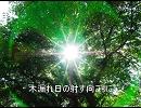 【初音ミク】木漏れ日の向こうの空【オリジナル曲】
