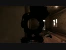 【適当にGame♪】INSURGENCY Online Multi 9【PC版】