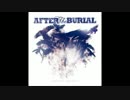 After the Burial - Disconnect