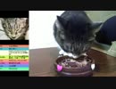 【ぬこ配信】ティナ５才のお誕生日会【ねこ配信】その２