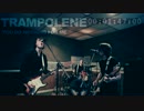 Trampolene - You Do Nothing For Me