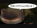 【星の夢を見る】クロノ・クロス【実況】part24