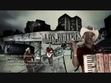 Los Buitres De Culiacan Sinaloa - El Cocaino