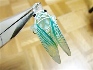 プラバンでセミ（羽化直後）作ってみた