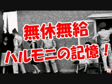 【無休無給】 ハルモニの記憶！