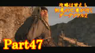 【実況】攻略は甘え！初見の亡者が行くダークソウル2【DarkSoulsII】part47