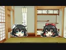 【マリオカート8】元50cc勢の巫女とそれを見守る船長　11【ゆっくり実況】