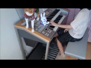 【エレクトーン】猫に妨害されながらマリオBGM