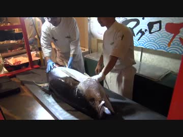 よさこいと阿波踊りの夕べ　まぐろ一刀おろし