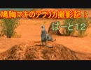 【AFRIKA】鳩胸マキのアフリカ撮影記！ぱーと⑫可愛い小さな見張り番