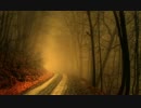【BGM】 The Sound of Autumn Night selected by ami