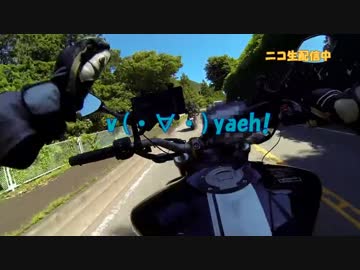 【４０だけど】オレも道志みちツーリングに行きたいっ！【ニコ生配信】