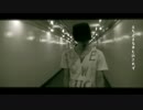 【マーチック】半/反 社会人【NNI】