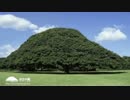 この木なんの木　ﾉ"(从 >3・)"｀にっこにっこにー