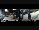 【サバゲー】猫さんと加齢さんのスパイ戦【個々視点】