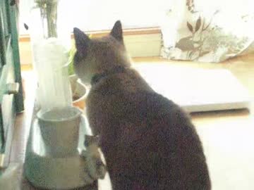 秋だ！ジャンくんと近づくチャンス？