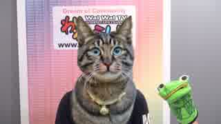 キム王子ときめき韓国語 第18回「猫をかぶる」