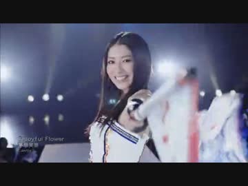 茅̵原実̵里 / J̵oyful F̵lower