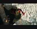 【ダークソウル２】人生に心折れそうなオッサンが８周目を実況 第38話
