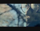 Bipolar Sunshine - Rivers 【PV】