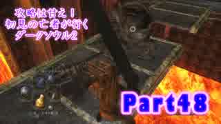 【実況】攻略は甘え！初見の亡者が行くダークソウル2【DarkSoulsII】part48