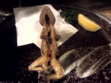 【奇食】米とサーカスでヤモリ食べた泣いた　【船橋】ソースらーめん