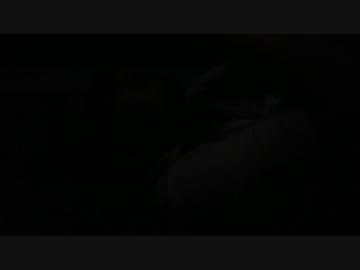 バチカン、3DAVを見る