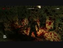 【視聴注意】世界中のゲーマーを絶叫させた恐怖の問題作『OUTLAST』実況③