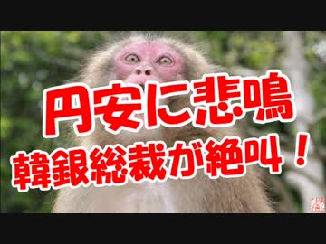 【円安に悲鳴】 韓銀総裁が絶叫！