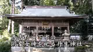 西吉野～下市の弥都波能売命を祀る神社【高龗神番外編】