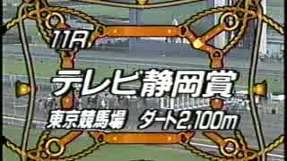 1995 テレビ静岡賞