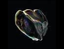 Scent Of Heaven / Tom Trago