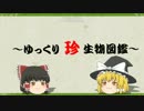 ～ゆっくり　珍　生物図鑑～　第3回　ワキモンユタ
