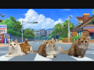 【マンチカンズ】猫が ようかい体操第一 踊ってみた