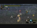 [MHP2] 村レイアを全力で TAKE２