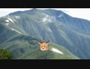 【次の旅行先で悩んでいます】ゆっくり達ののんびりな生活(part3.5?)