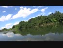 【秋の】秋水土竜の釣行記　川編【プチ爆】