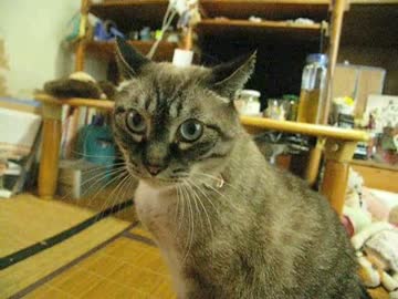 ひとりぼっちのジャンくんを想像で描きました