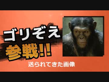 【実況者杯】マリオカート8秋の陣　第3陣1戦目　実況40【かわぞえ】