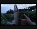 9.23bikou師川で釣りx264.aac.mp4