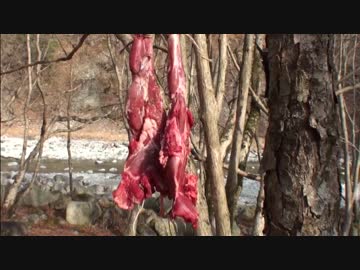 カメ五郎の狩猟生活（その２２）