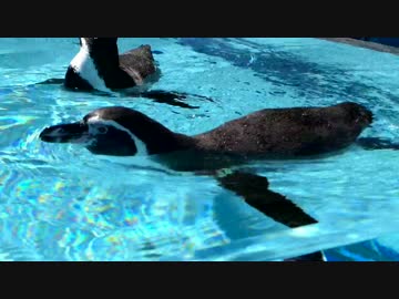 M250Sな日々　第４話　「2014年、夏。」