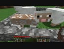 【日刊】マインクラフト〝ほぼ〝初見プレイ【Minecraft】■part51