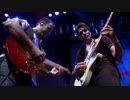 Steve Vai - The Animal