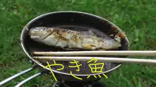 【やき魚】金ぼすこ雄の楽しい夕食【キャンプ】