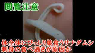 人気の 芽殖孤虫 動画 6本 ニコニコ動画